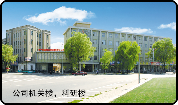 遼寧儀表研究所有限責(zé)任公司