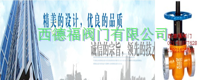 進(jìn)口電站閥門西德福有限公司