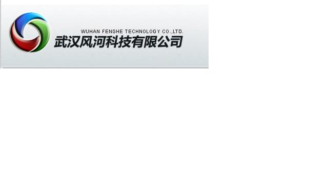 武漢風(fēng)河計算機科技有限公司