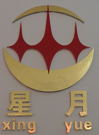 陜西鑫星月光電科技有限公司