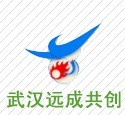 武漢遠(yuǎn)成共創(chuàng)科技有限公司