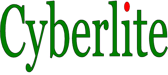 北京賽博利特科技 有限公司